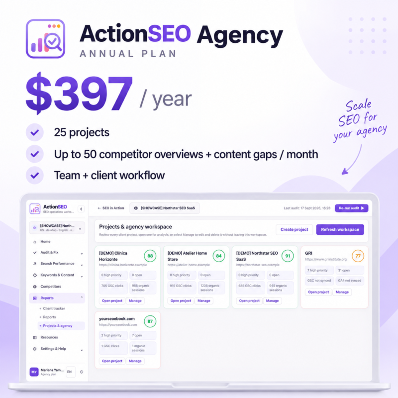 ActionSEO Agency annual overview
