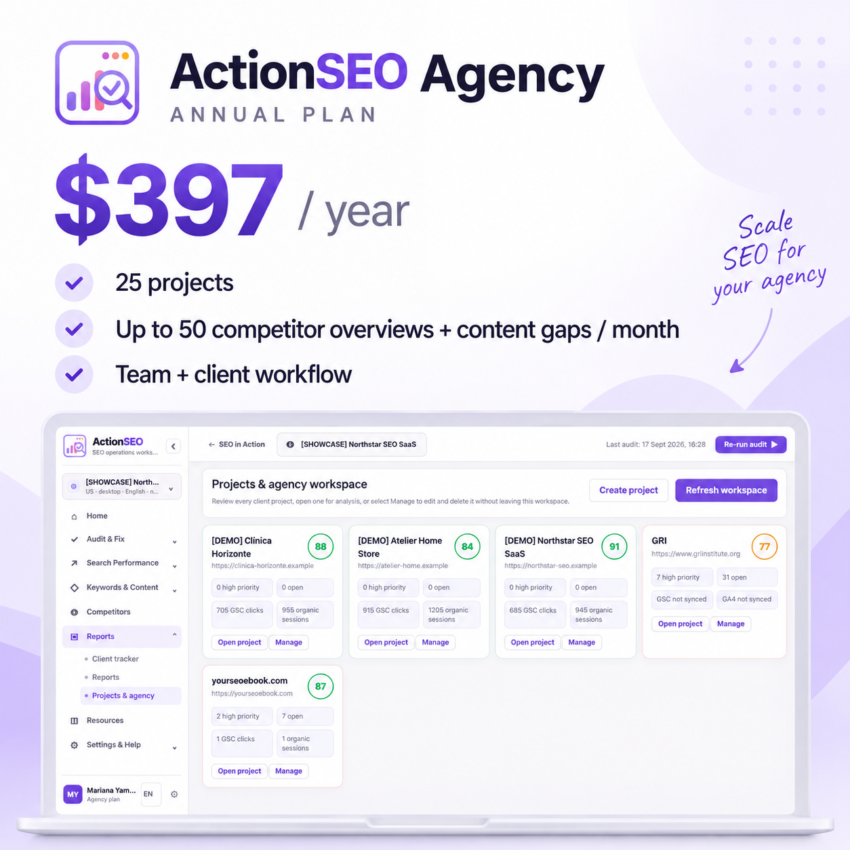 ActionSEO Agency annual overview