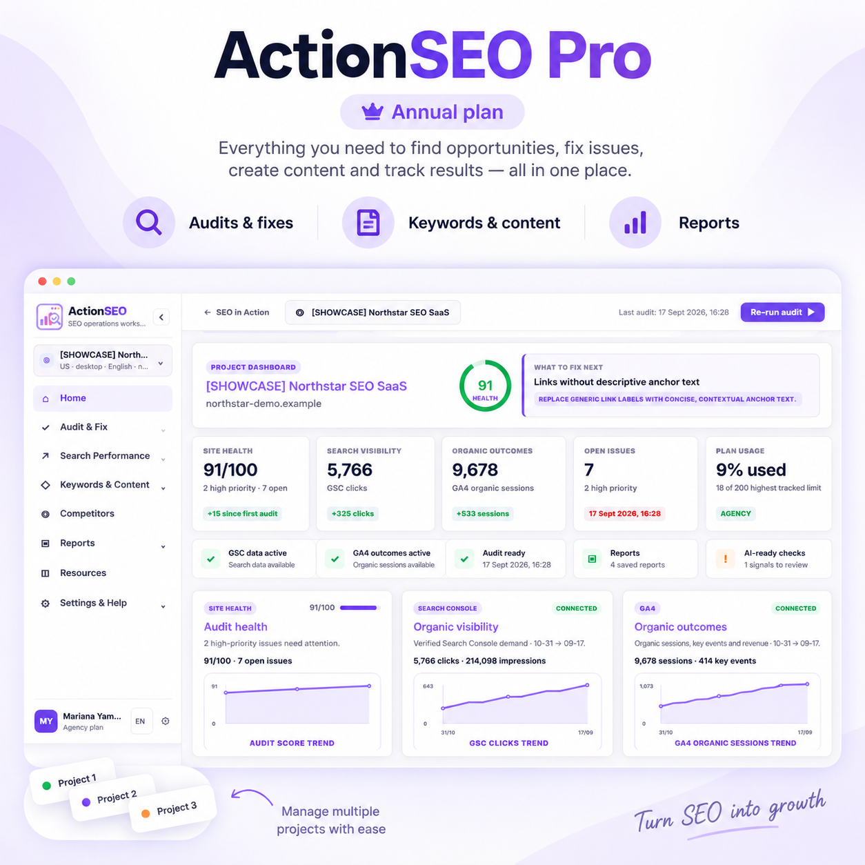ActionSEO Pro annual Audit overview