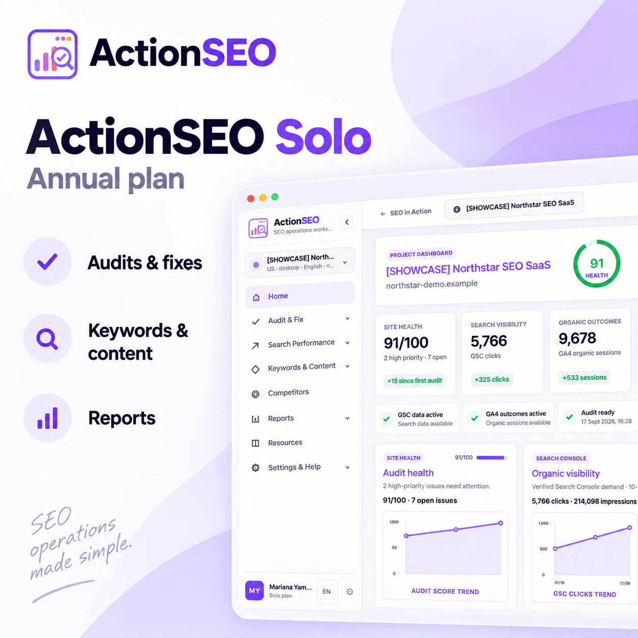 ActionSEO Solo annual audit overview