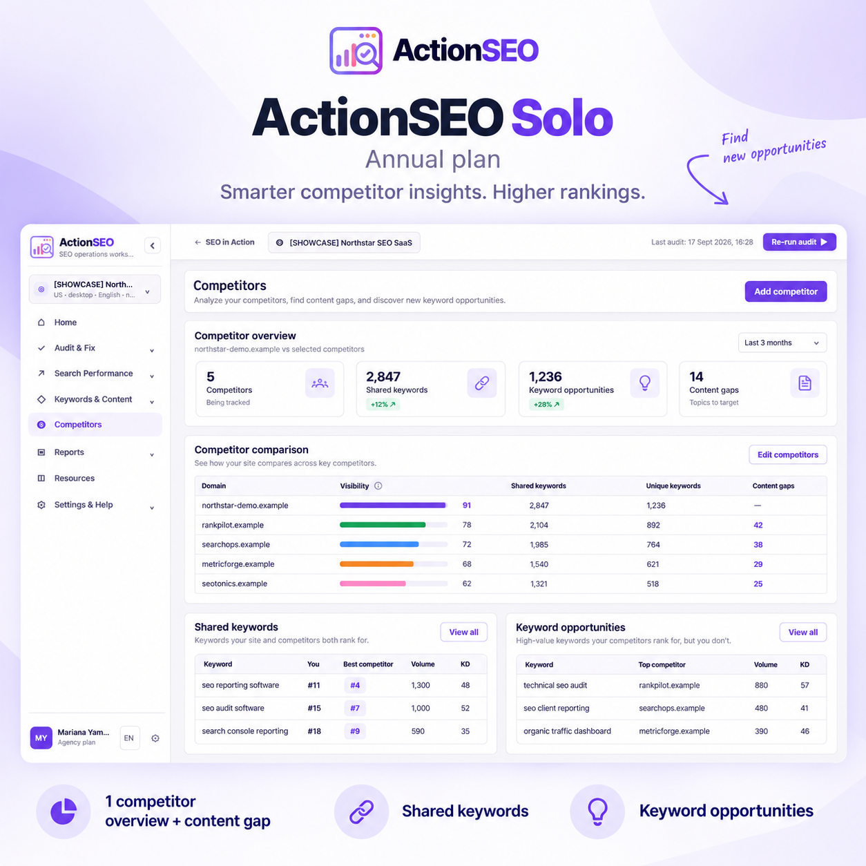 ActionSEO Solo annual competitor