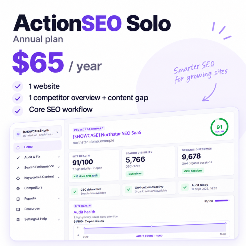 ActionSEO Solo annual overview